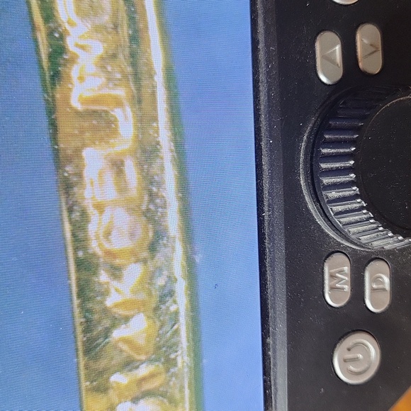 Garnet Ring - Picture 7 of 9